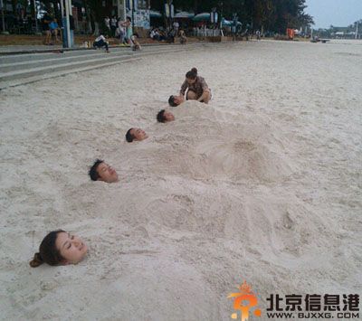 搞笑图片扫一扫送礼品 这绝对不是诚心的