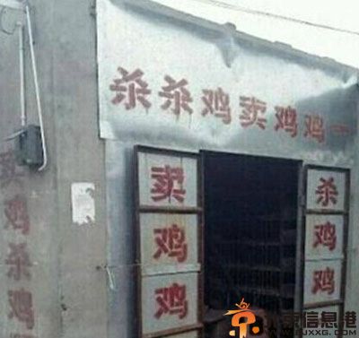 亮点图自从没了节操之后 干姐姐和干姐姐是两回事