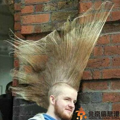 亮点图自从没了节操之后 干姐姐和干姐姐是两回事