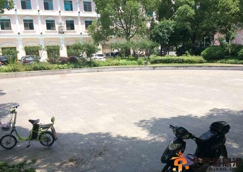 爆广场舞老汉扇里藏刀杀人图片内幕 花钱找女舞伴坏人变老还是坏