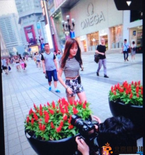 天天向上王宛尘个人资料微博 撞脸韩善花生活照遭热搜