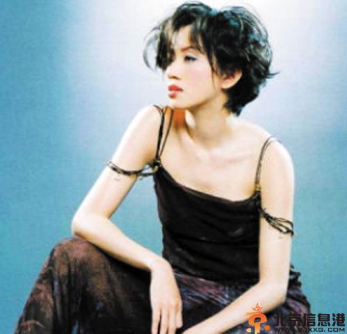 梅艳芳哥哥梅启明个人资料 梅艳芳纪念铜像揭幕梅哥被阻止上台