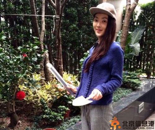 曝曹格老婆吴速玲个人资料 爸爸热播吴速玲整容传开