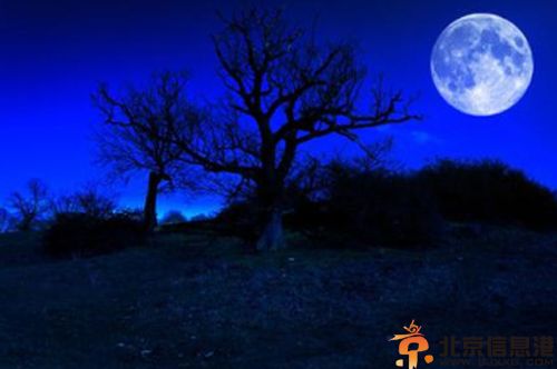 被遗忘的地方之诡异事件 恐怖鬼<a href='http://www.bjxxg.cn/beijing/gushi/' target='_blank'><u>故事</u></a>精选
