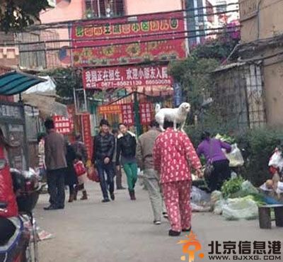 搞笑图片夏天的男生宿舍 有种案发现场的感觉