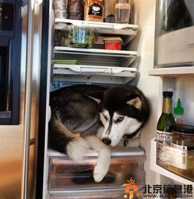 搞笑图片最接地气的厕所名 土豪青年欢乐多啊
