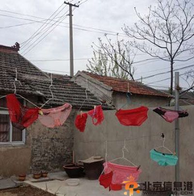 亮点图进到院子后我惊呆了 你们这也太开放了吧