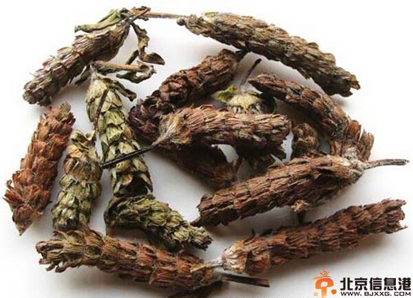 中草药夏枯头的功效有哪些 盘点夏枯头的功效与作用