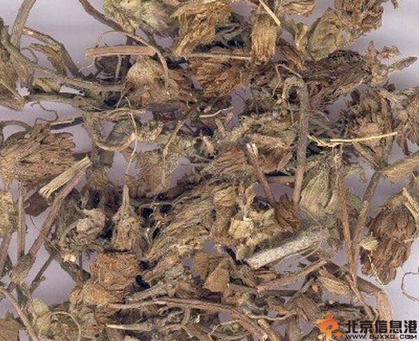 中草药夏枯头的功效有哪些 盘点夏枯头的功效与作用