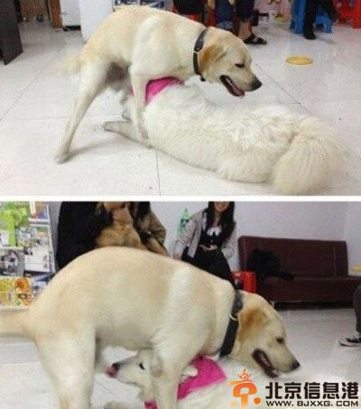 搞笑图片这画面太美 无法独自欣赏