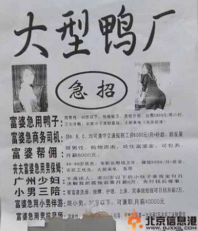 亮点图大型鸭厂急招 终于等着急招的一天了