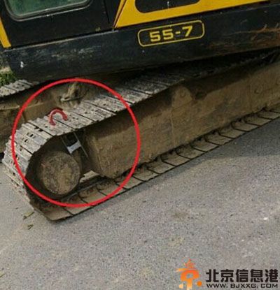 亮点图大型鸭厂急招 终于等着急招的一天了
