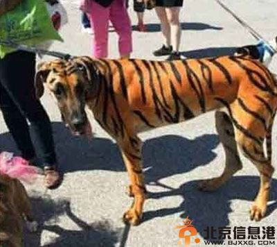 亮点图大型鸭厂急招 终于等着急招的一天了