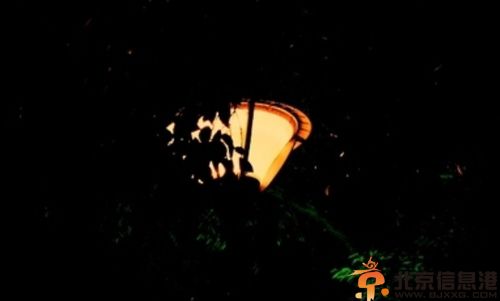 恐怖鬼故事吸血的石碑 老松林旁边的破败寺庙