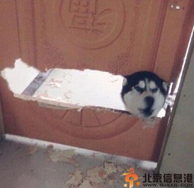 搞笑图片技术性谈恋爱 现在秀恩爱也讲究技术了