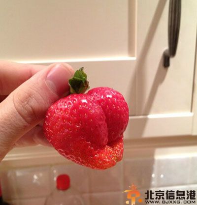 亮点图好性感的草莓 这个游戏看起来好好玩的样子
