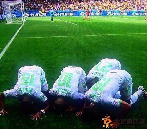 球员磕头庆祝进球创世界杯上新<a href='http://www.bjxxg.cn/news/lishi/' target='_blank'><u>历史</u></a> 值得每一位球迷尊敬【苦等28年】