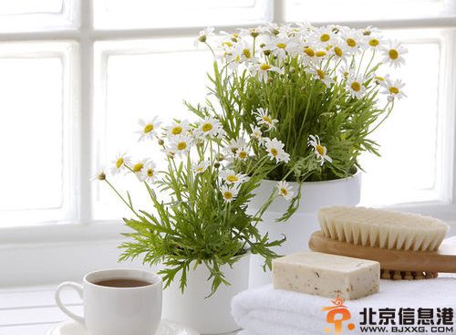 21天中药减肥法食谱推荐 蜕变<a href='http://www.bjxxg.cn/health/' target='_blank'><u>健康</u></a>女性身材你值得拥有