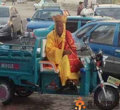 搞笑图片就喜欢这样的汪星人 二汪你是在耍流氓你造吗