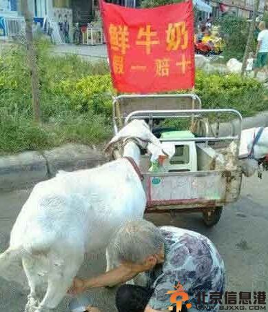 妹纸超内涵亮点图 姑娘是要3P的意思吗