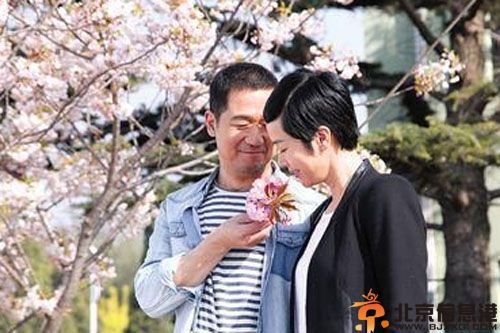 电视剧爱情最美丽分集剧情介绍演员表（1-41）全集大结局