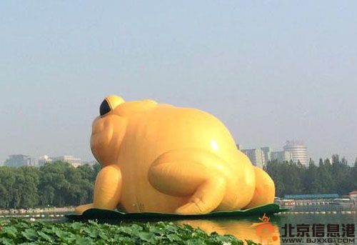 北京玉渊潭公园大金蟾亮相 慈溪人设计大金蟾吸引5万游客