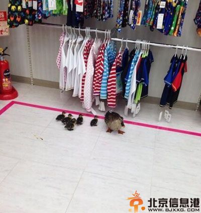 内涵笑话绝对不是亲生的 大号练废了要个小号耍耍