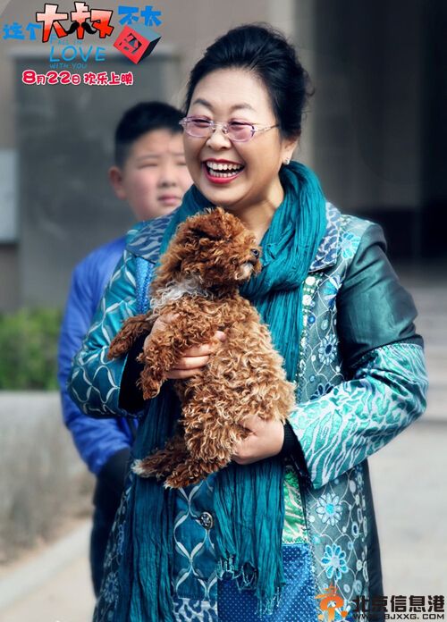 电影这个大叔不太囧什么时候上映剧情介绍 杜海涛被逼婚