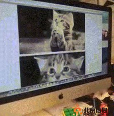 男巫zach king是谁资料曝光 剪辑王zach king魔术亮瞎眼