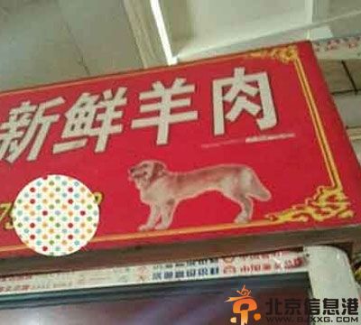 搞笑图片不走寻常路 走的人多了就成为了路