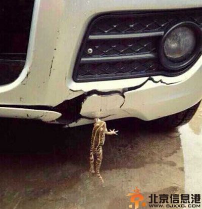 亮点图妹纸太白天这样好吗 这是一张有故事的照片