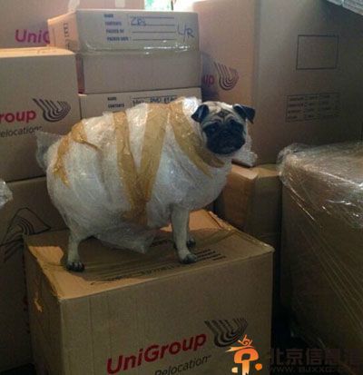 邪恶内涵亮点图大全 我这么叫有错吗