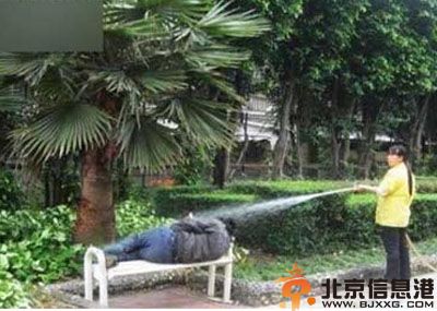 搞笑图片色彩缤纷的人生 妹纸的这势让我邪恶了