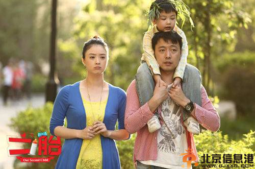 电视剧二胎分集剧情介绍演员表1-33全集大结局