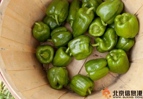 教你自制瘦腿膏 学习DIY瘦腿霜配方