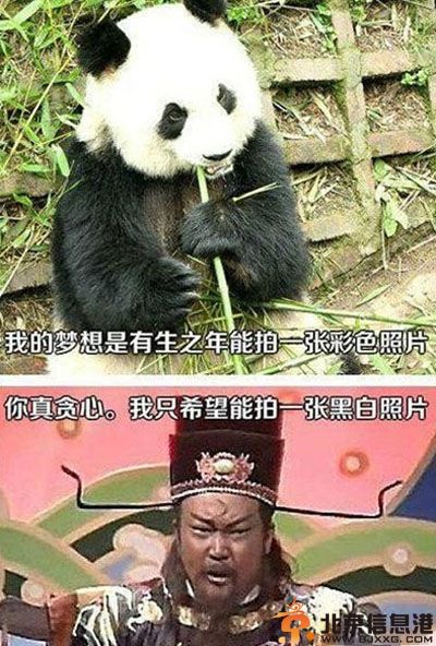 亮点图艰难的愿望 包大人的黑白照片愿望好艰难