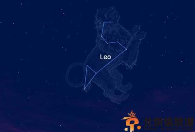 狮子座和什么座最配 详解狮子座与12星座配对度