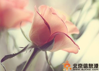 2014年处女座运势预测全解析 注意事项破解方法