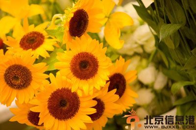 2014年处女座运势预测全解析 注意事项破解方法