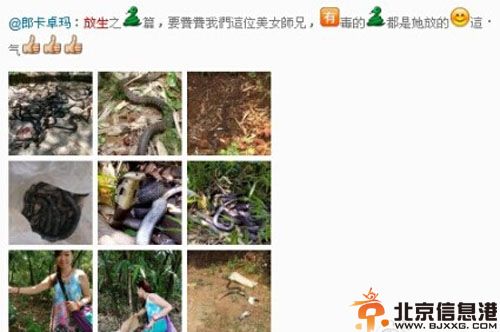 揭郎卡卓玛微博个人资料照片 放生毒蛇事件受争议