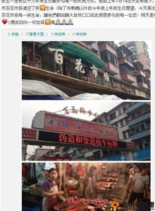 揭郎卡卓玛微博个人资料照片 放生毒蛇事件受争议