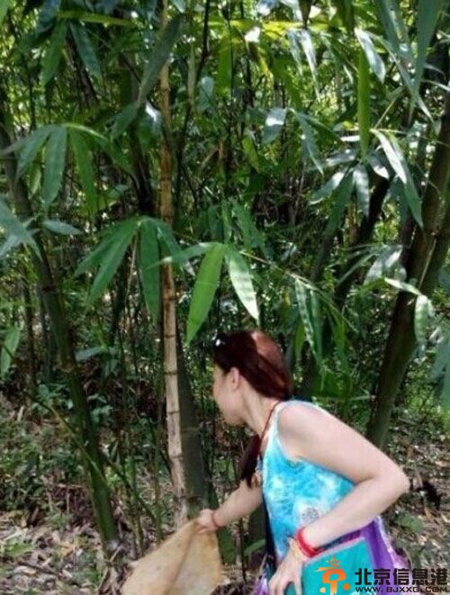 揭郎卡卓玛微博个人资料照片 放生毒蛇事件受争议