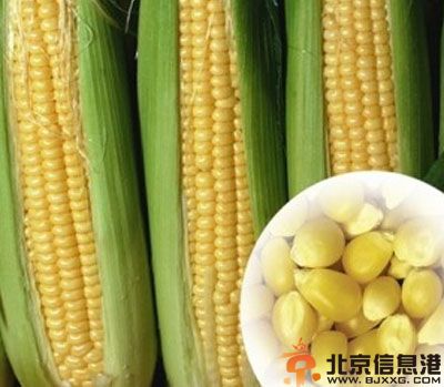 新鲜玉米怎么保存长久 教你新鲜玉米怎样煮好吃