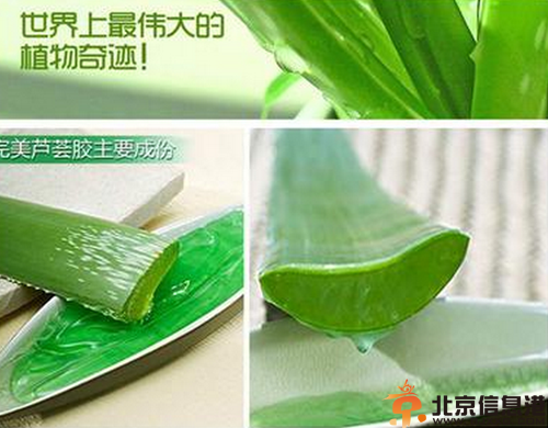 自制保湿补水面膜 让你告别皮肤干燥