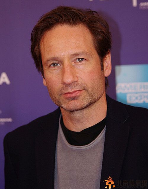 大卫-杜考夫尼与老婆蒂亚-里欧妮离婚 离婚有原因疑性上瘾症