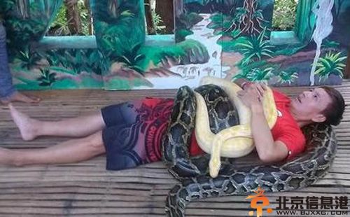 小钟钟昀呈女友是谁 被250公斤蟒蛇缠身揭其个人资料微博照片