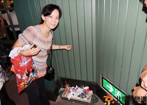 翁静晶个人资料照片 斥责内地人没素质称香港不需要自由行