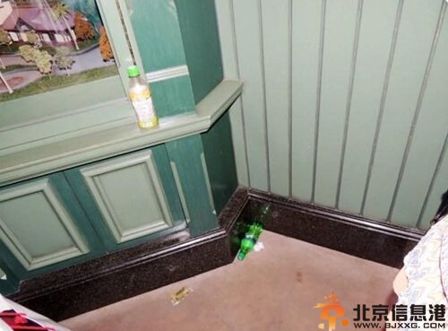 翁静晶个人资料照片 斥责内地人没素质称香港不需要自由行