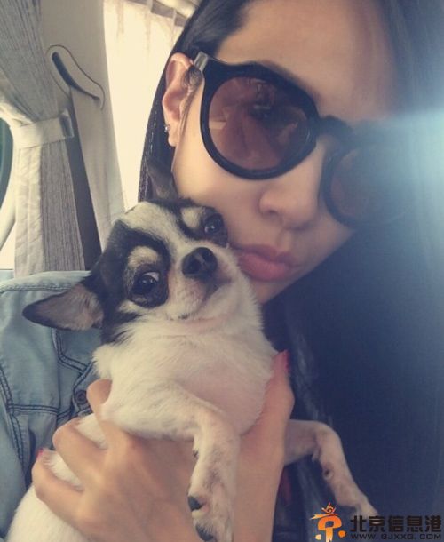 庄思明男友是谁揭个人资料微博 身高生活照曝光