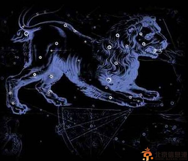 狮子座爱上你的表现 从十六点中探寻狮子座的小秘密